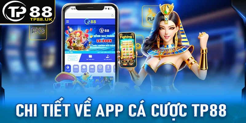 Giới thiệu chi tiết về app cá cược TP88 